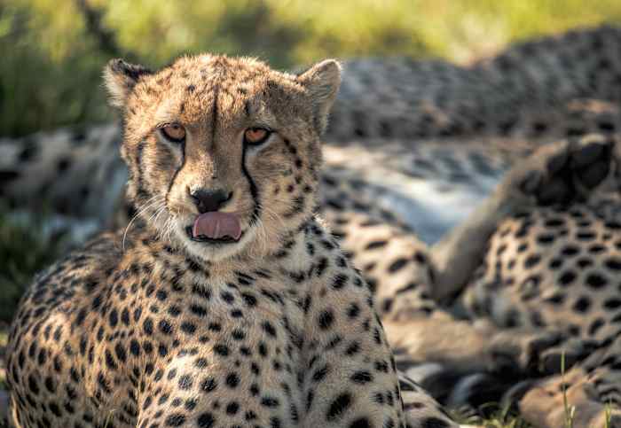 BK8I6749 - GALLERY.jpg